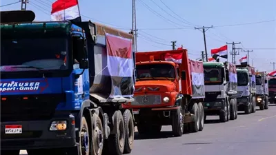 متحدث الخارجية: مصر قدمت 70% من مساعدات غزة وتدعم سلامًا يعيد الحقوق