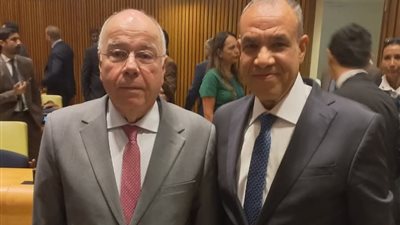 وزيرا خارجية مصر والبرازيل يبحثان دعم حل الدولتين وجهود إعادة إعمار غزة