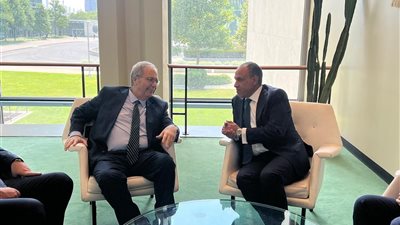 وزير الخارجية يجتمع بنائب رئيس الوزراء اللبناني ويؤكد رفض مصر المساس بسيادة لبنان وسلامة أراضيه