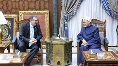 شيخ الأزهر يبحث مع 