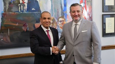 مصر تؤكد لواشنطن رفض الإجراءات الأحادية في ملف النيل وتتمسك بحل الدولتين