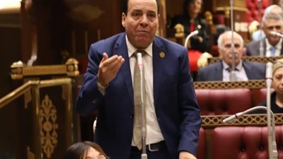 برلماني: مظاهرة تل أبيب تفضح تنسيق الإخوان مع الاحتلال لاستهداف مصر