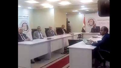  انطلاق انتخابات مجلس الشيوخ للمصريين بالخارج من نيوزيلندا 