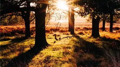 الأرصاد تكشف حالة الطقس اليوم الجمعة 1 أغسطس 2025