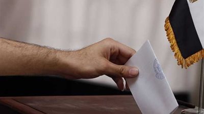 بين التعدد الحزبي والقائمة الموحدة.. انتخابات الشيوخ ترسم ملامح السياسة في 2025