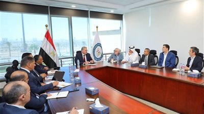 البترول تبحث مع شركات عالمية مشروع المسح الجوي لتحديث قاعدة بيانات الثروات التعدينية