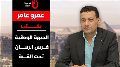 عمرو عامر يكتب.. الجبهة الوطنية فرس الرهان تحت القبة