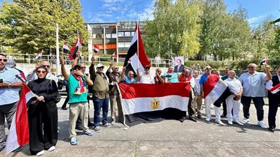 مظاهرة حب ووطنية من المصريين  في النمسا للرئيس السيسي