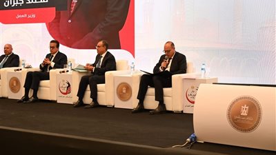 وزير العمل لـ المصريين بالخارج: حريصون على مواجهة مشاكلكم والحفاظ على كرامتكم 