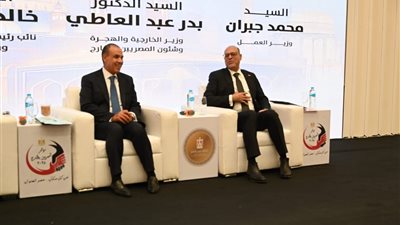 وزير العمل يطرح حل للقضاء على 