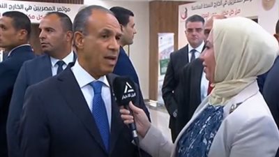 وزير الخارجية: مستمرون في إدخال المساعدات جوا وبرا إلى غزة