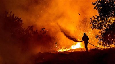  الرئيس السيسي يصدر توجيهات بسرعة تقديم كافة أوجه الدعم الممكنة لإخماد حرائق الغابات بقبرص