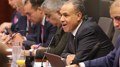 وزير الخارجية: مصر تلعب دورا استثنائيا وثابتا في دعم القضية الفلسطينية
