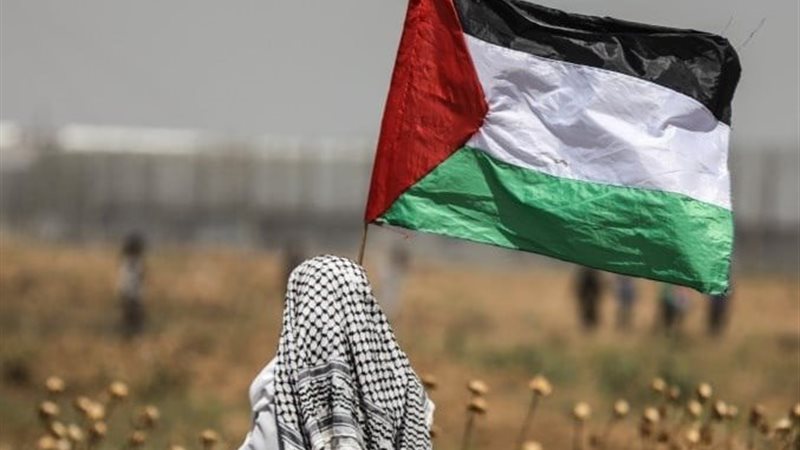 أرشيفية