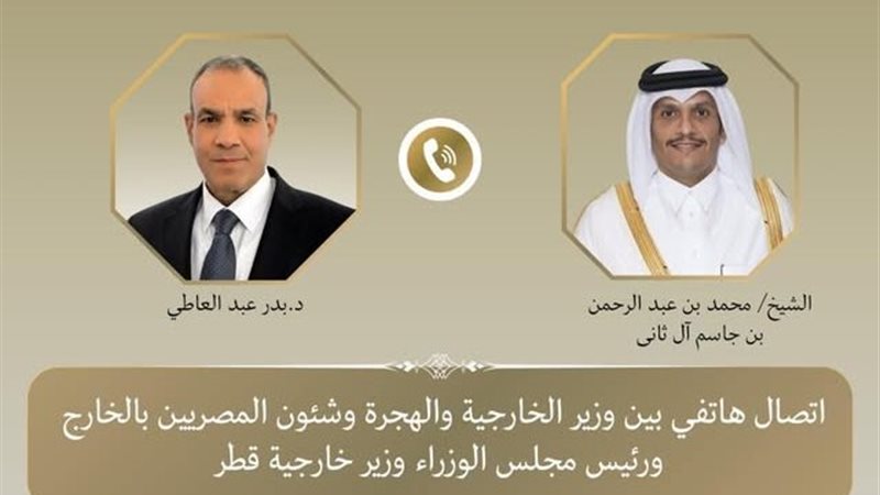 وزيرا خارجية مصر
