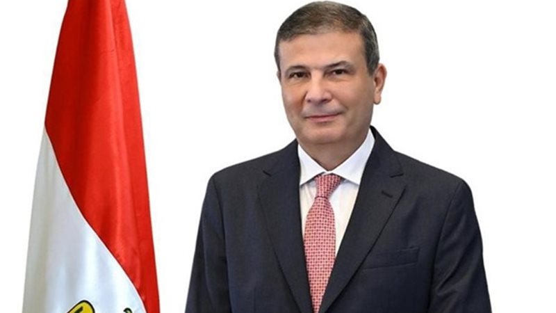 علاء فاروق، وزير