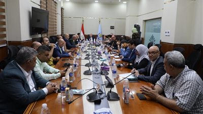 لليوم الثاني.. محافظ القاهرة يتابع سير انتخابات مجلس الشيوخ