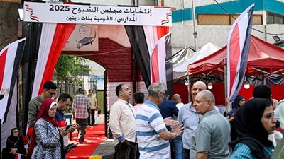 نتائج انتخابات مجلس الشيوخ 2025 بمحافظة أسوان.. المؤشرات المبدئية