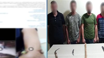 بسبب الجيرة.. مشاجرة دامية بالسيوف والعصي في البحيرة والداخلية تضبط المتهمين