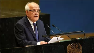 مندوب فلسطين بالأمم المتحدة: حل الدولتين أسس لمسار السلام ولا رجعة فيه