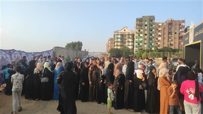 الحكومة في طوابير انتخابات اليوم الأول لمجلس الشيوخ (صور)