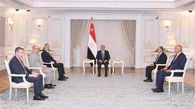 السيسي يستقبل وزير خارجية تركيا ويبحثان تعزيز التعاون وقضايا المنطقة