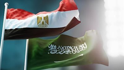 أبو موسى: العلاقات بين مصر والسعودية متميزة وصلبة ومتينة
