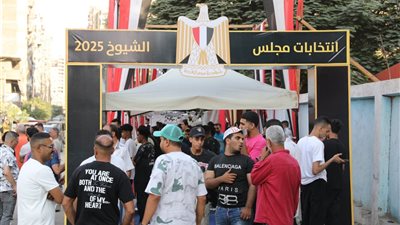 مقاعد متحركة ودورات مياه مجهزة.. أبرز التسهيلات لذوي الاحتياجات الخاصة باللجان الانتخابية