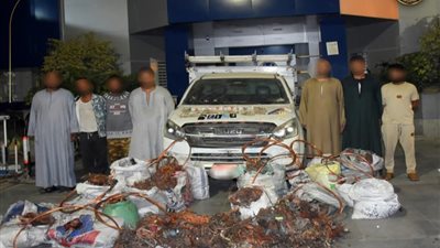 استولوا على سيارة النحاس.. تفاصيل القبض على عصابة 