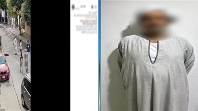  الأمن يكشف ملابسات ضبط حارس عقار قتل كلبا بعصا خشبية في الجيزة