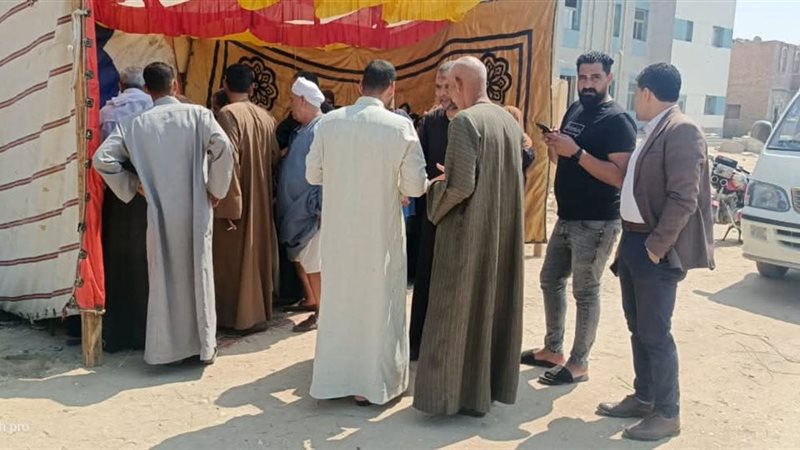 انتخابات مجلس الشيوخ