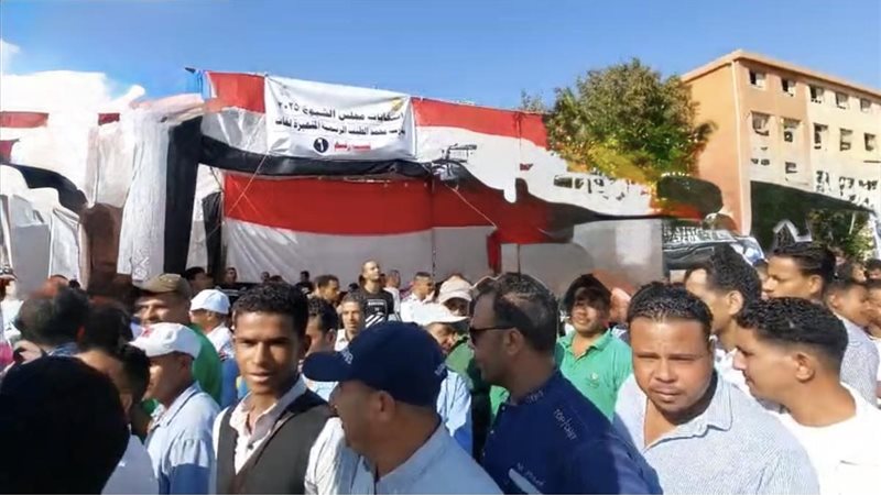انتخابات مجلس الشيوخ