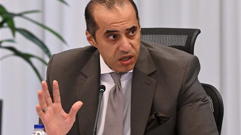 المستشار محمود فوزي،