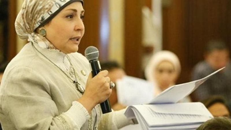 النائبة هالة أبو