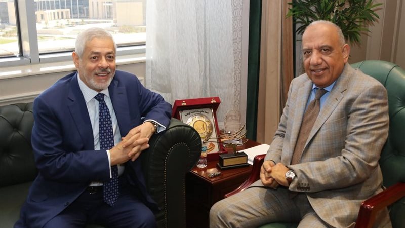 وزير الكهرباء