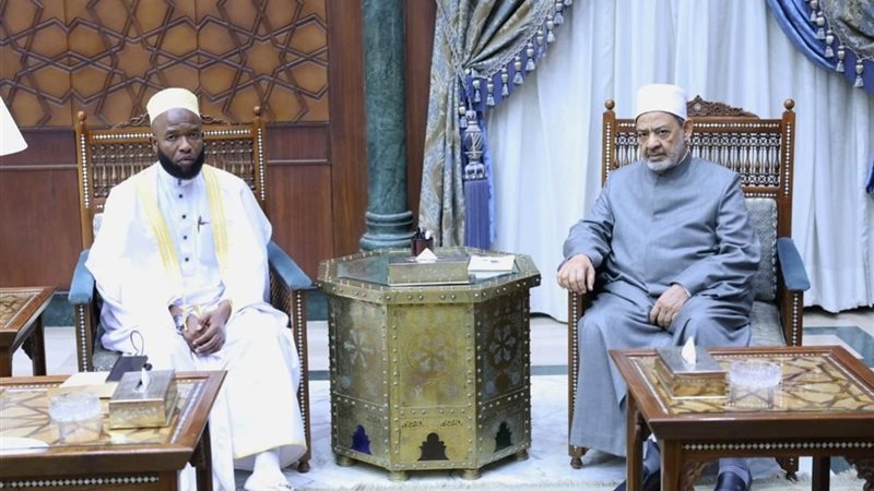جانب من الاستقبال