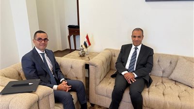 وزيرا الخارجية والاستثمار يبحثان آليات الترويج الفعال للاقتصاد المصري عالميا