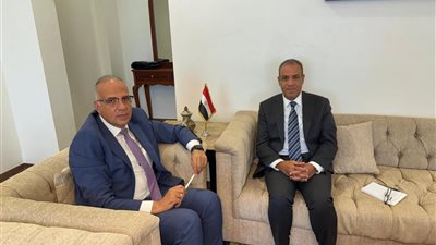 بيان مشترك لوزيري الخارجية والري يؤكد رفض الإجراءات الأحادية بحوض النيل الشرقي