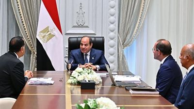 عاجل.. الرئيس السيسي يبحث مع مدبولي وكجوك تعزيز الانضباط المالي
