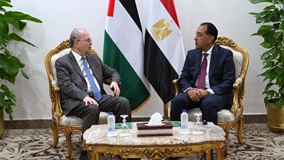 رئيس الوزراء: استمرار مصر في تقديم مختلف أوجه الدعم اللازم لقطاع غزة من خلال معبر رفح