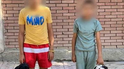 القبض على شخصين اعتديا على مواطن بالسلاح الأبيض وكلبين بالإسكندرية 