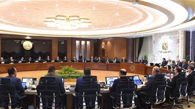 إطلاق مليون وحدة زريعة جمبري جديدة لإحياء بحيرة قارون