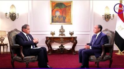 وزير الخارجية: سياسة إسرائيل لن تحقق لها الأمن والاستقرار دون الاستجابة لحقوق الشعب الفلسطيني