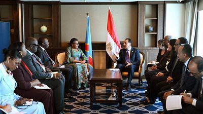 رئيس الوزراء: مصر تدعم أوجه التنمية بدول حوض النيل 