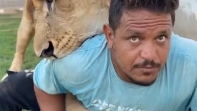 النائب العام الليبي يقرر حبس صاحب مزرعة لإطلاقه أسده على عامل مصري