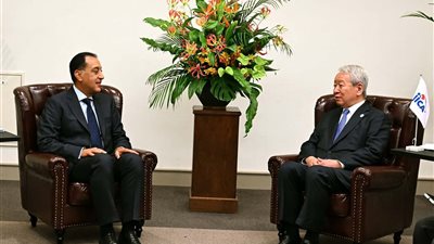 رئيس الوزراء يلتقي رئيس وكالة 