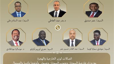 وزير الخارجية يبحث تعزيز التعاون مع دول حوض النيل والقارة الإفريقية