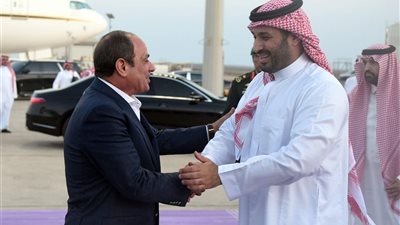 المتحدث الرئاسي ينشر صور زيارة الرئيس السيسي للسعودية