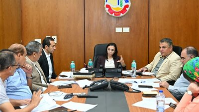 محافظ البحيرة: تشكيل لجنة لحصر وحدات الإيجار القديم للجهات الحكومية والمواطنين