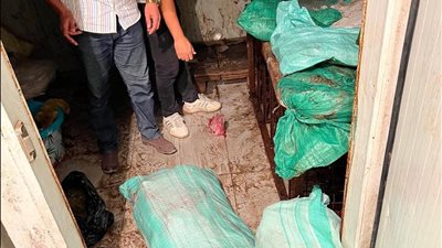 محافظة الجيزة: تضبط 3 أطنان 